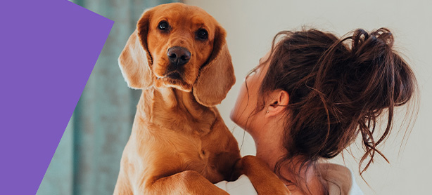 PetSecur dierenverzekering