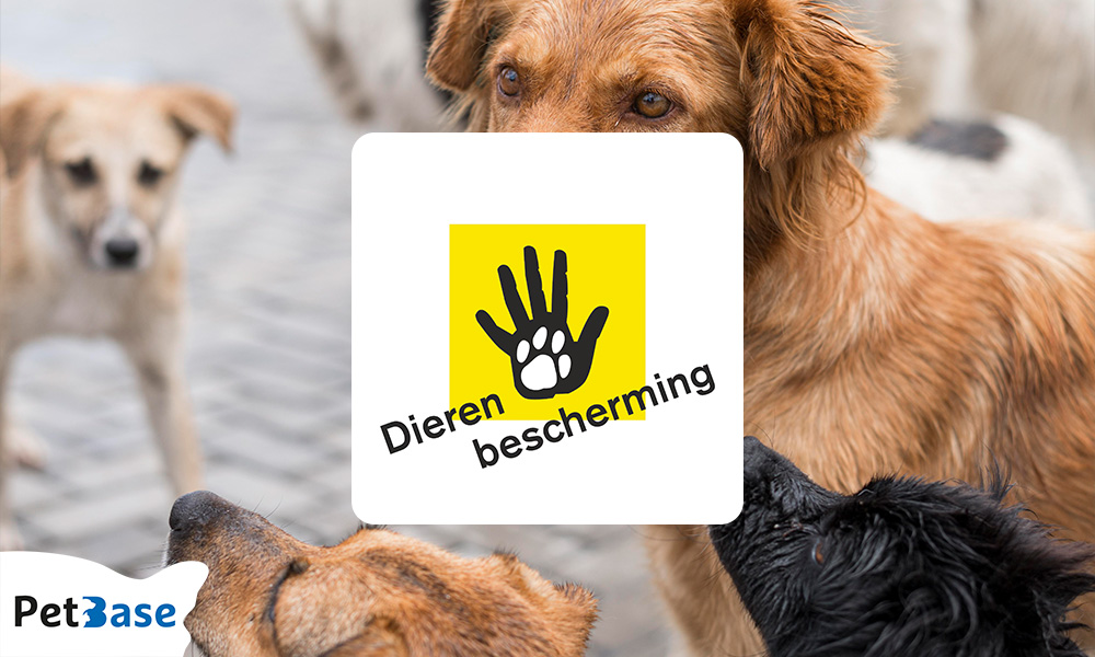 Dierenbescherming